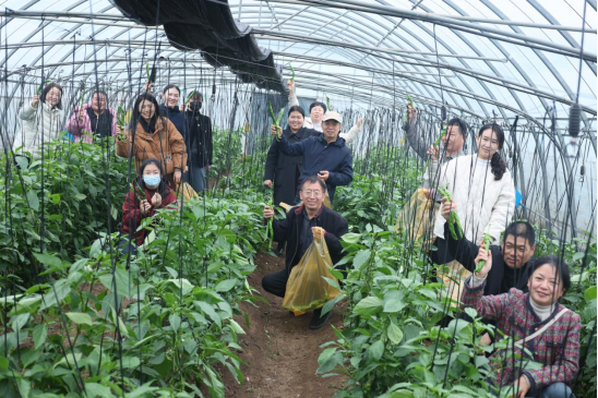 CA88(中国)唯一官方网站入口
