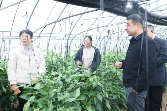 CA88(中国)唯一官方网站入口